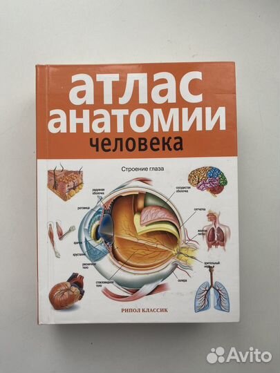 Атлас анатомии человека
