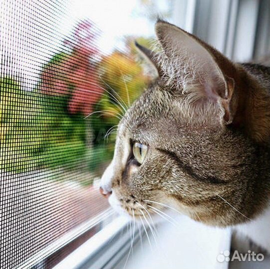 Сетки антикошка от производителя