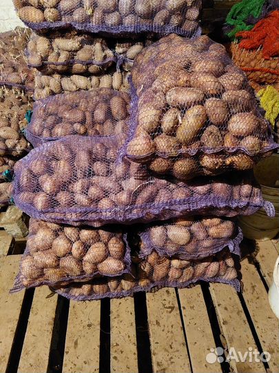 Продам картофель