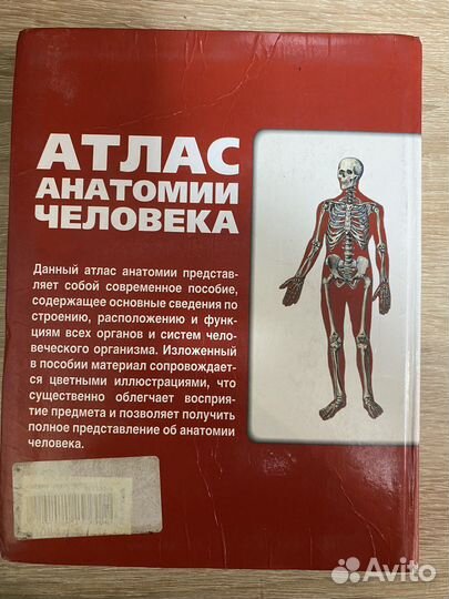 Атлас. Анатомия человека. Лёвкин С.С