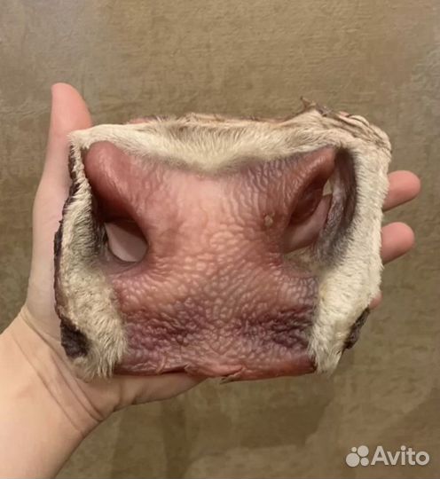 Лакомства для собак