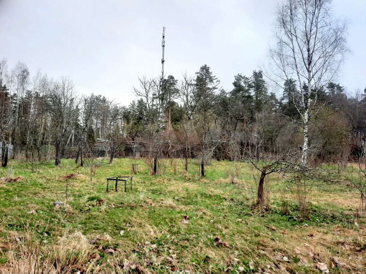 Участок 24 сот. (СНТ, ДНП)