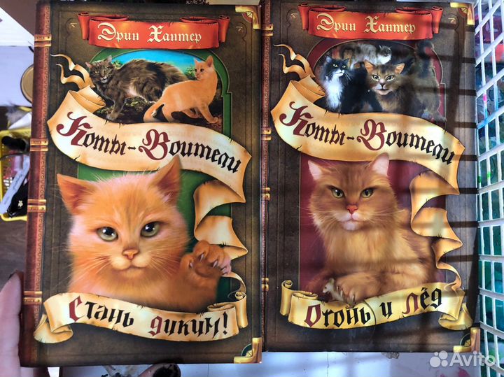 Коты воители стань диким,огонь и лёд