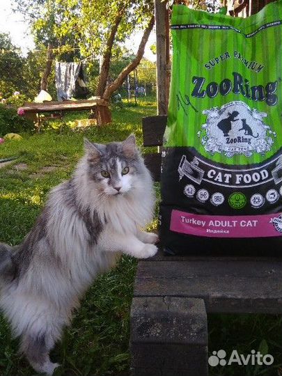 ZooRing для собак