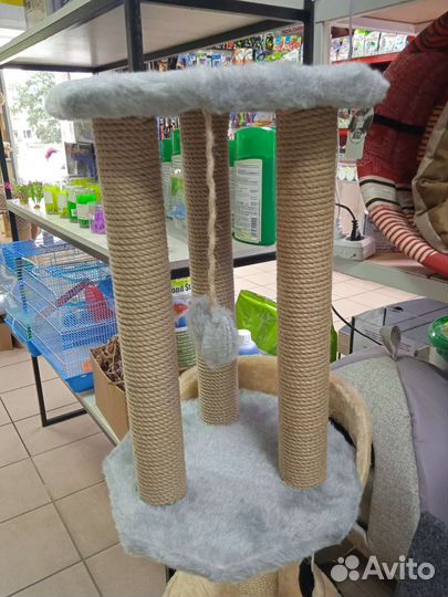 Когтеточки новые