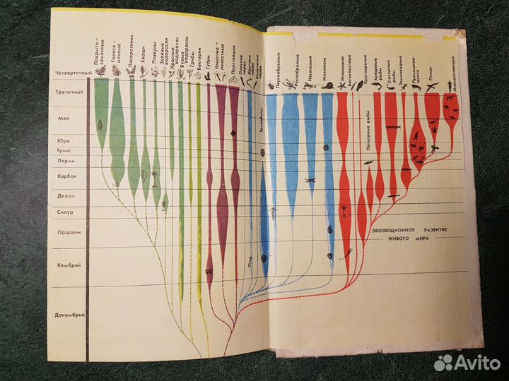 Общая биология 10-11 класс