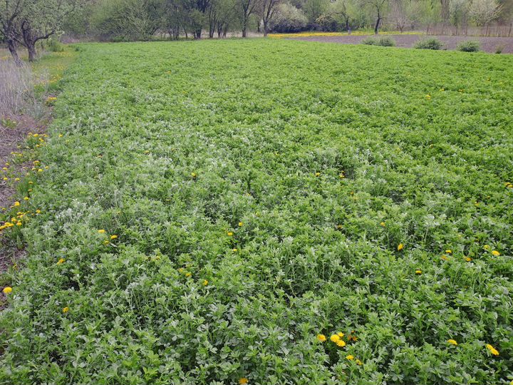 Дача 30 м² на участке 14 сот.