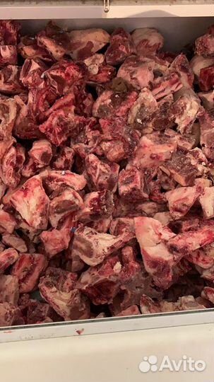 Мясо для собак с бесплатной доставкой