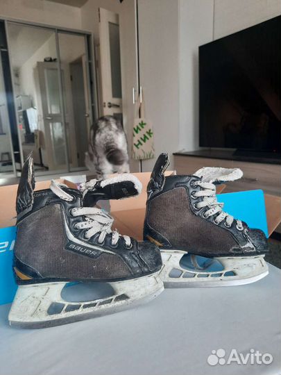Хоккейные коньки bauer