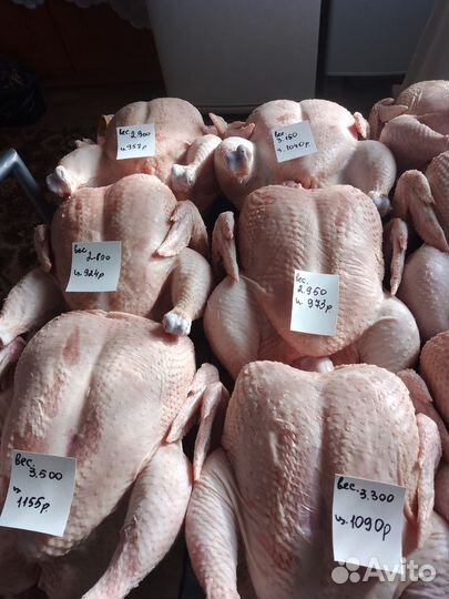 Мясо домашнего бройлера