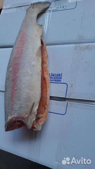 Красная икра,Форель,Индейка,Курица