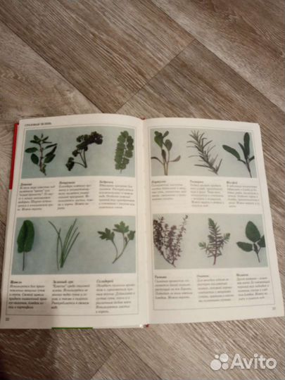 Книга о вкусной и здоровой пище