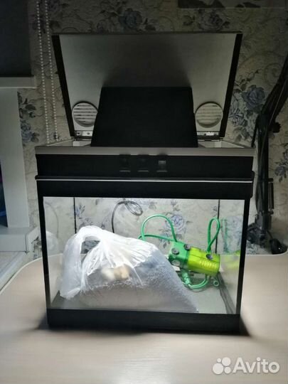 Аквариум