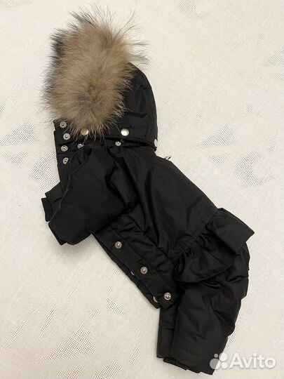 Одежда для собак