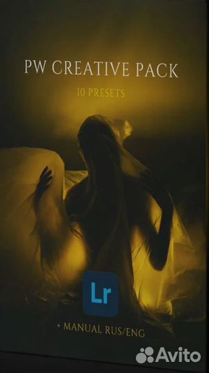 Пресеты Polina Washington creative pack