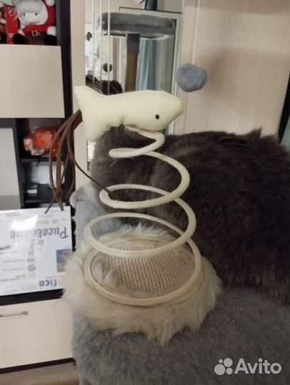 Игровой домик для кошки+рыбка в подарок