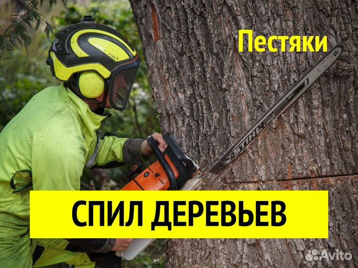 Спил и удаление деревьев. Обрезка веток