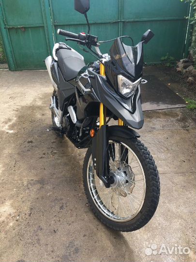 Racer Ranger 300