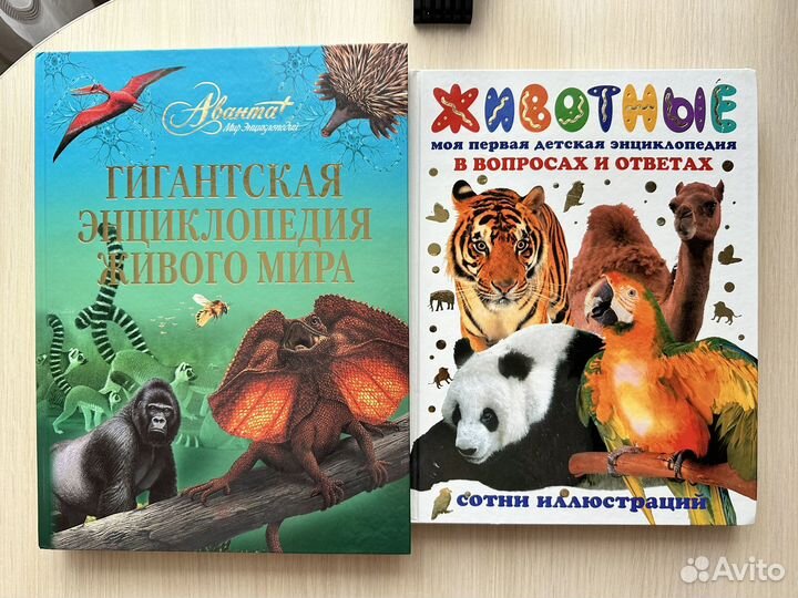 Энциклопедия Животного мира