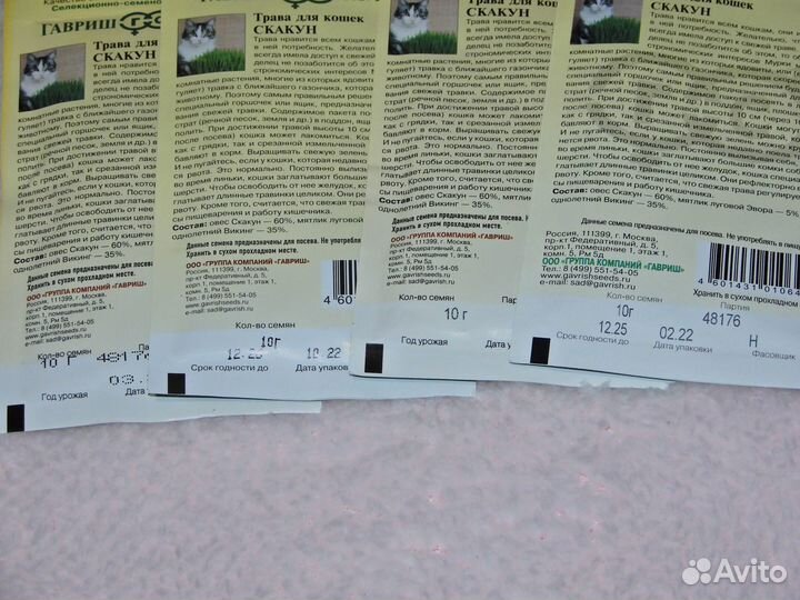 Трава для кошек 