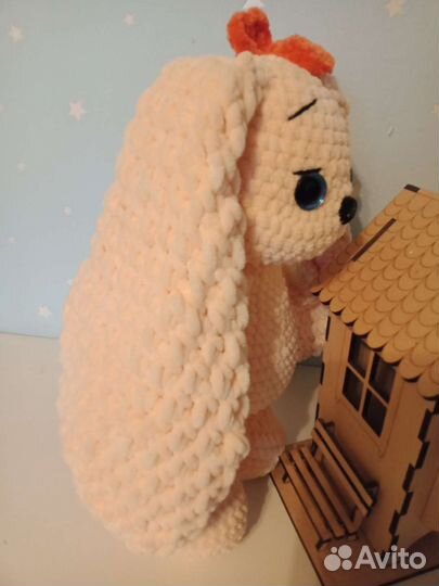 Зайка Настя