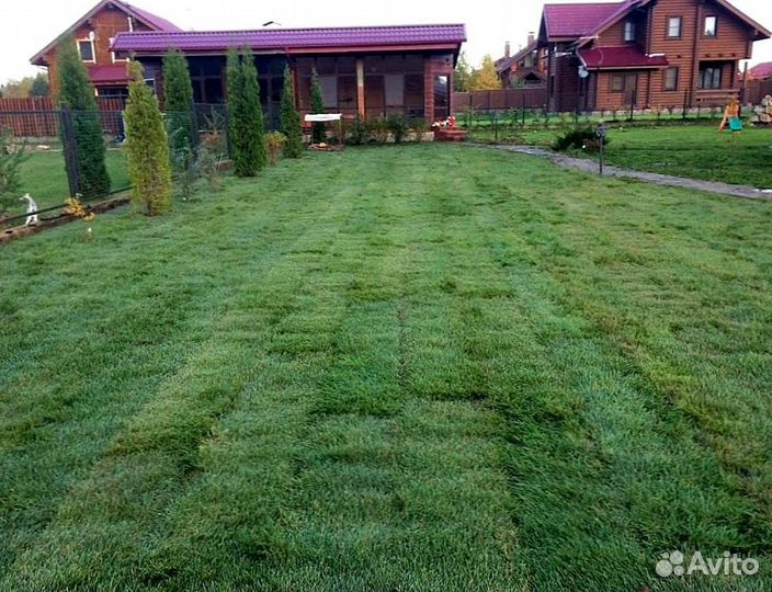 Рулонный газон