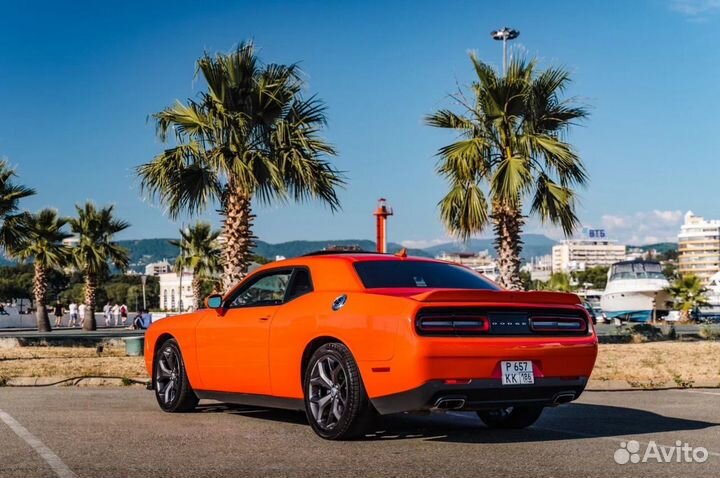 Прокат Dodge Challenger Сочи Адлер