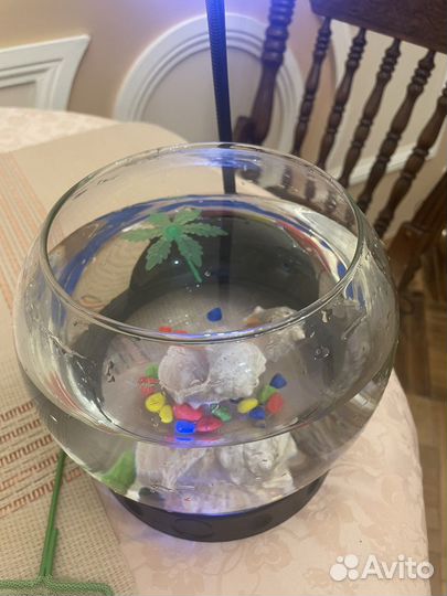 Аквариум с подсветкой 3л