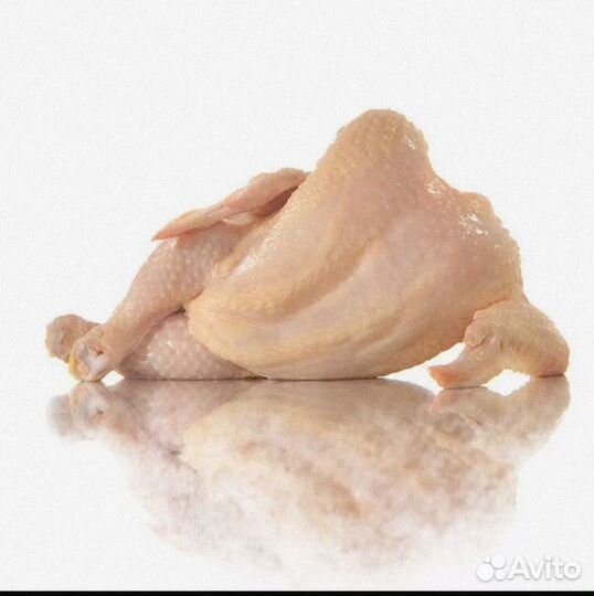 Домашние куры, шашлык куриный