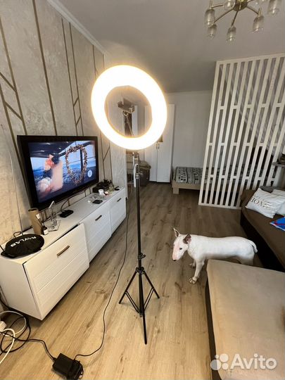 Кольцевая лампа