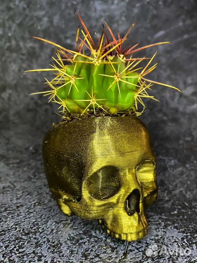 Череп кашпо