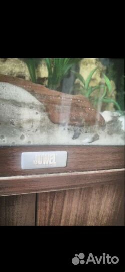 Аквариум с тумбой juwel 120 литров с рыбками