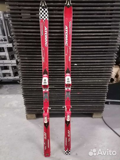 Горные лыжи