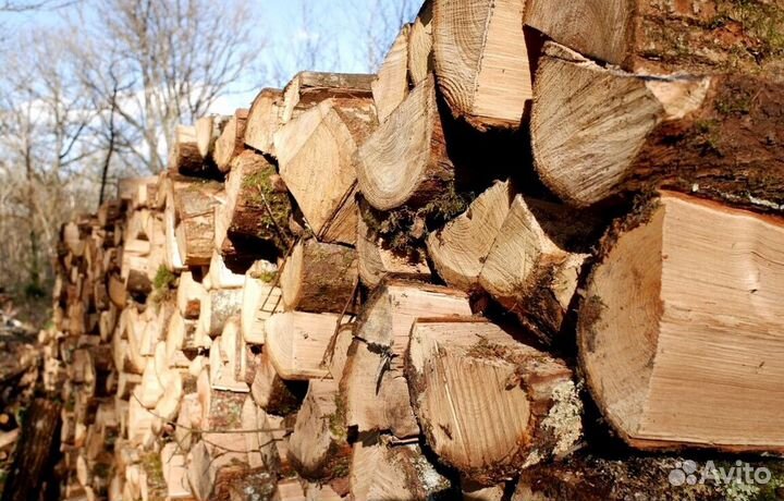 Дрова с Выборга