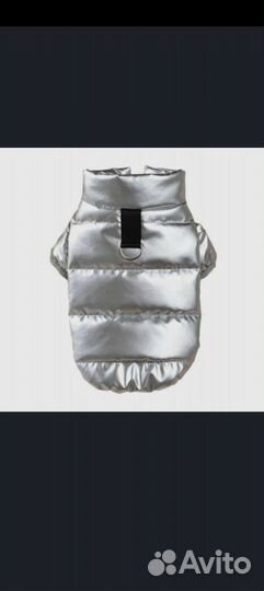Одежда для собак мелких пород