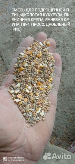 Зерносмеси для всех