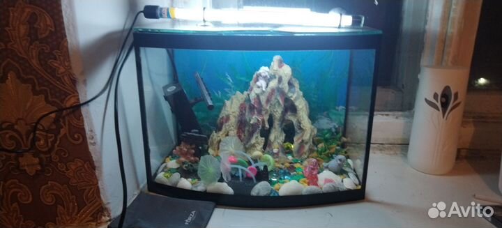 Аквариум