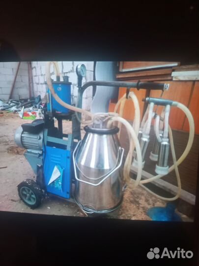 Дойная аппарат бу