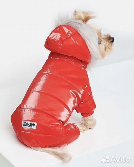 Одежда для собак