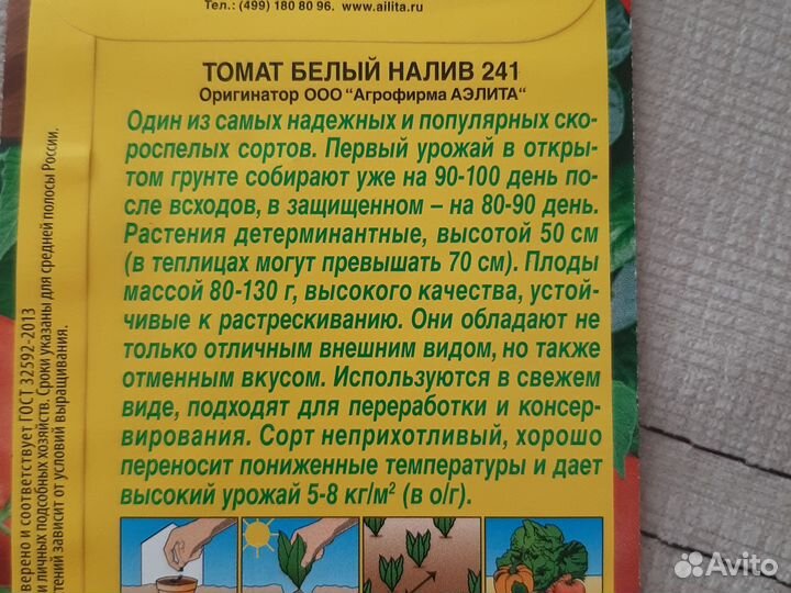 Рассада помидор