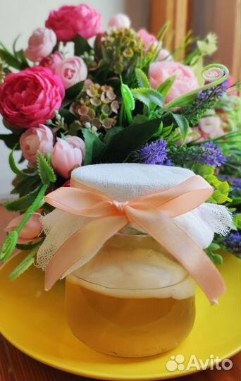 Чайный гриб комбуча