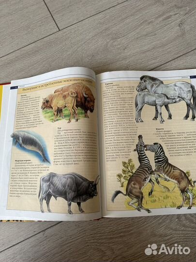 Красная книга животные России