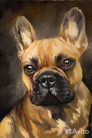 Портрет домашнего питомца