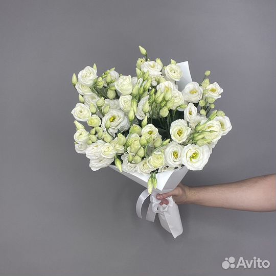 Эустома импортные