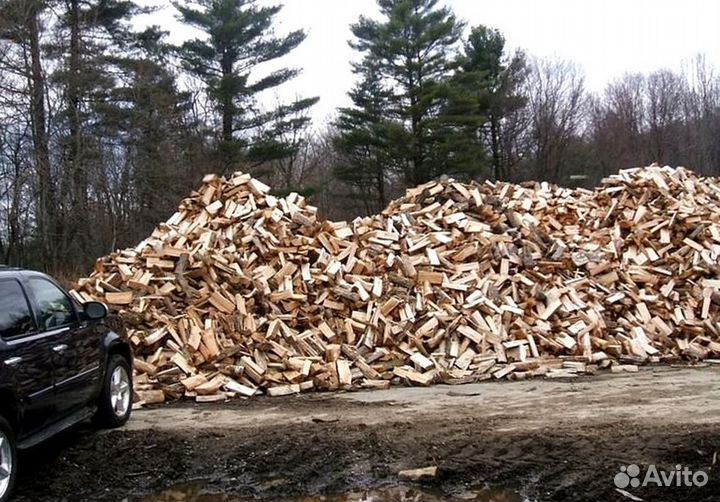 Дрова в город