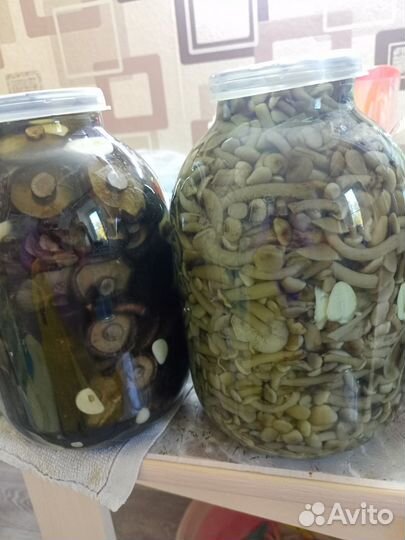 Грибы соленые, маринованные