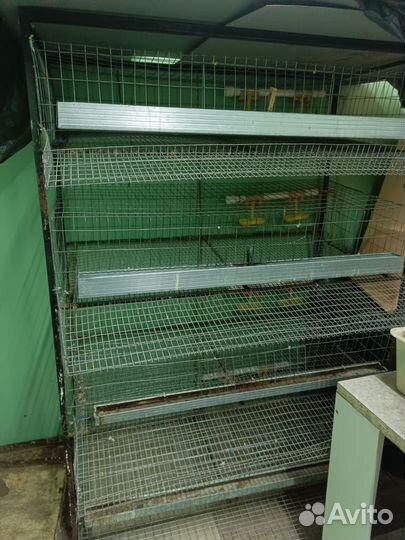 Клетка для перепелок бу