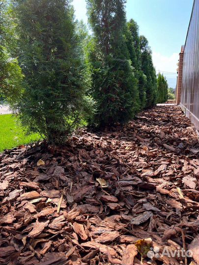 Мульча Кора лиственницы Вермикулит