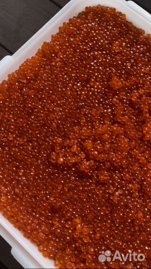 Красная икра кета