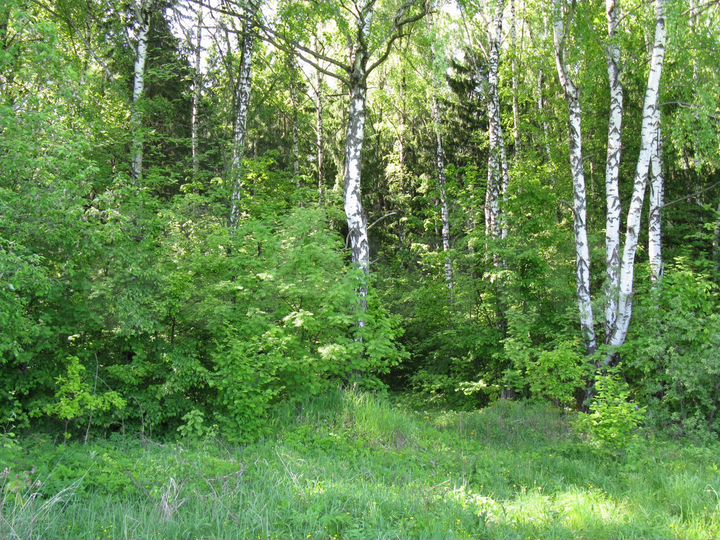 Участок 18,6 га (СНТ, ДНП)
